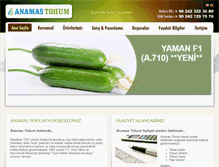 Tablet Screenshot of anamastohum.com